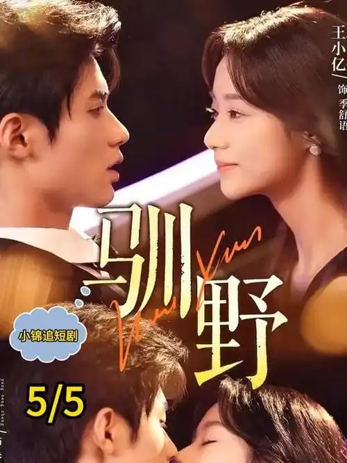 第七区 欧美犯罪剧集海报
